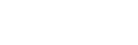 logo retina